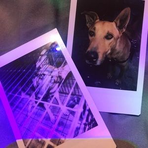 Meet your Posher, Jazmin